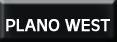 Plano West Home